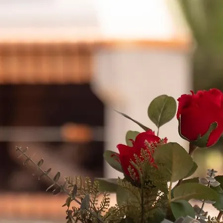 Casa Del Fuego * Moya