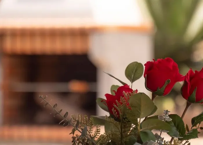 Casa Del Fuego * 摩亚